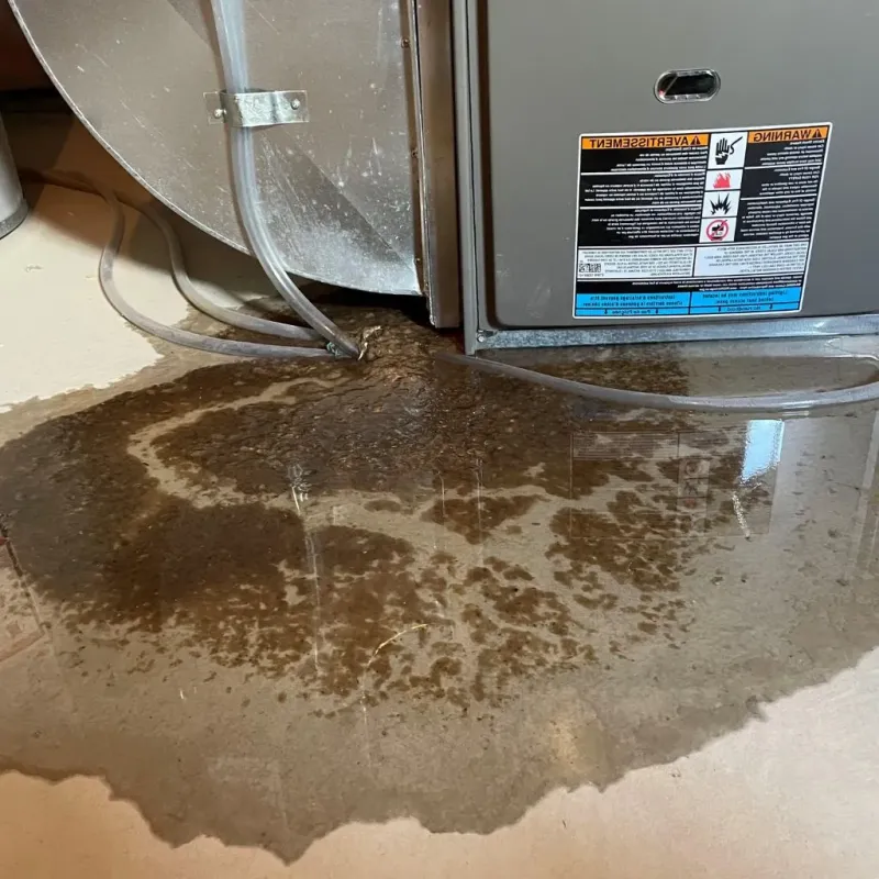 Pipe Burst and Leak Restoration in Belington, WV