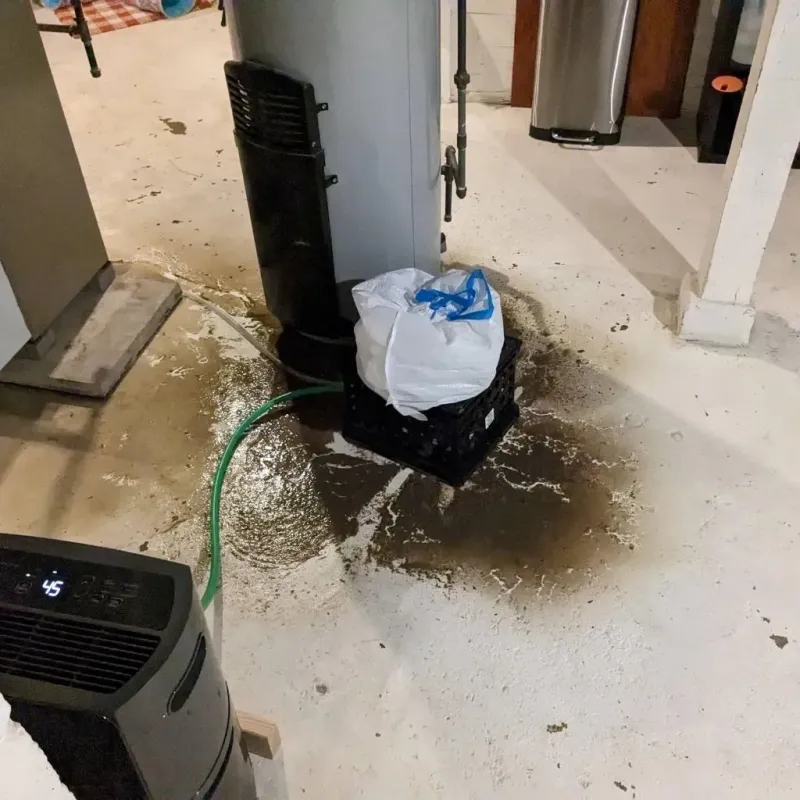 Sewage Backup Cleanup Service in Belington, WV